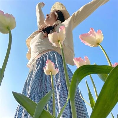 玫瑰计划